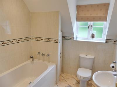 Picture 21